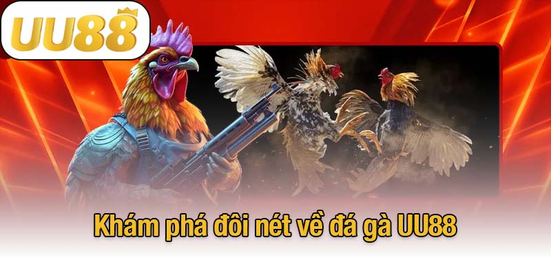 Khám phá đôi nét về đá gà UU88