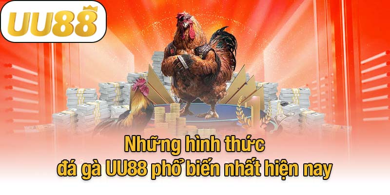 Những hình thức đá gà UU88 phổ biến nhất hiện nay